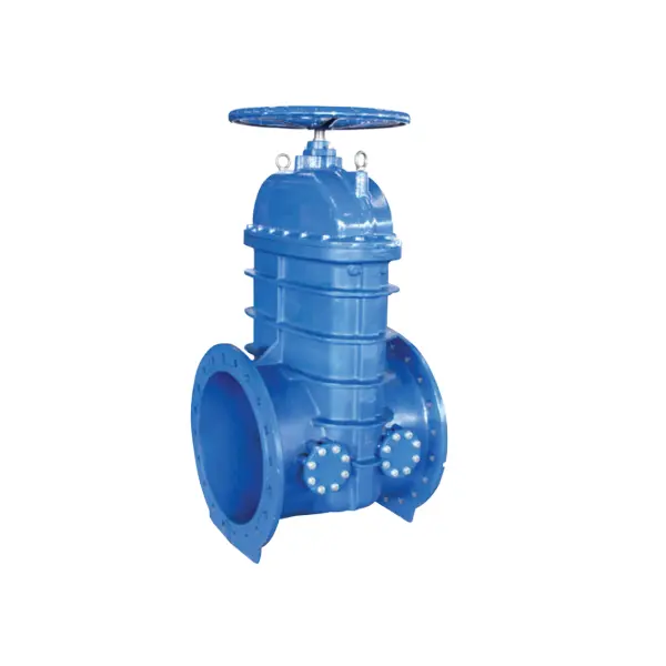 BS 5163 Flanged Resilient NRS Gate Valve with Bypass Outlet