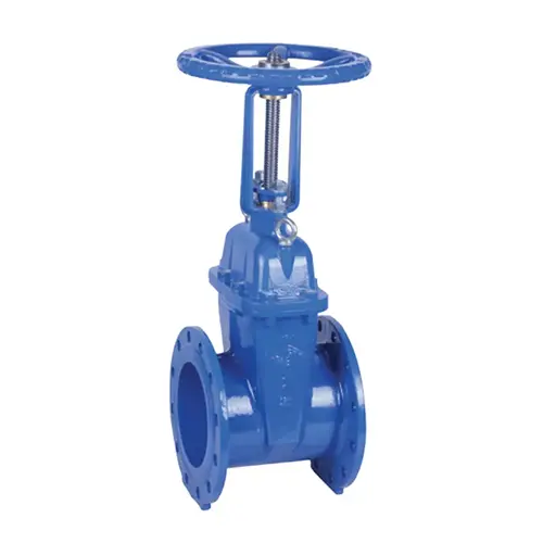 BS 5163 Flanged Resilient OS&Y Gate Valve
