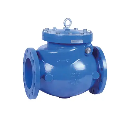 BS EN 12334 Swing Check Valve