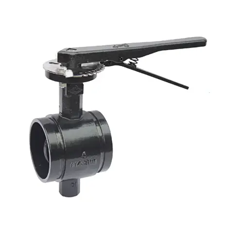 BS EN 593 Grooved Butterfly Valve with Long Neck