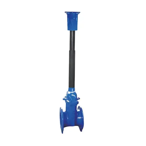 Buried Gate Valve for Underground Application