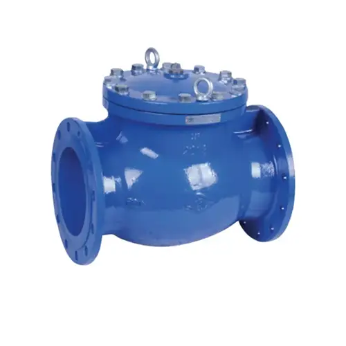 DIN F6 Check Valve