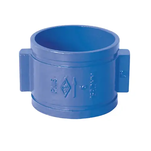 Double Door Grooved Check Valve DH87X PN10/16