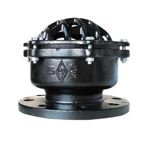 Flanged Bottom Valve HD41X PN10/16